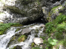 Il torrente sopra i Ruderi della Malga Pradidali (42666 bytes)